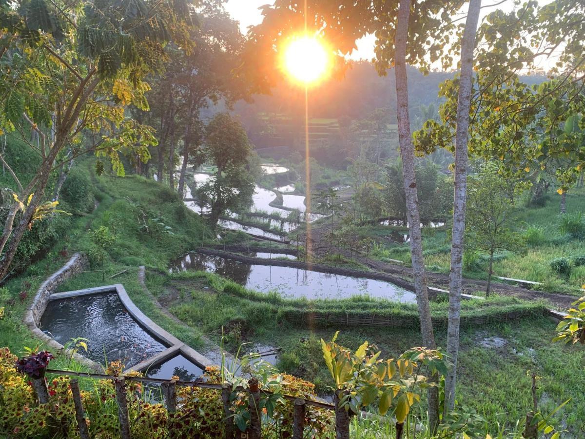 The Alam Tetebatu Bungalow & Restaurant Bagian luar foto