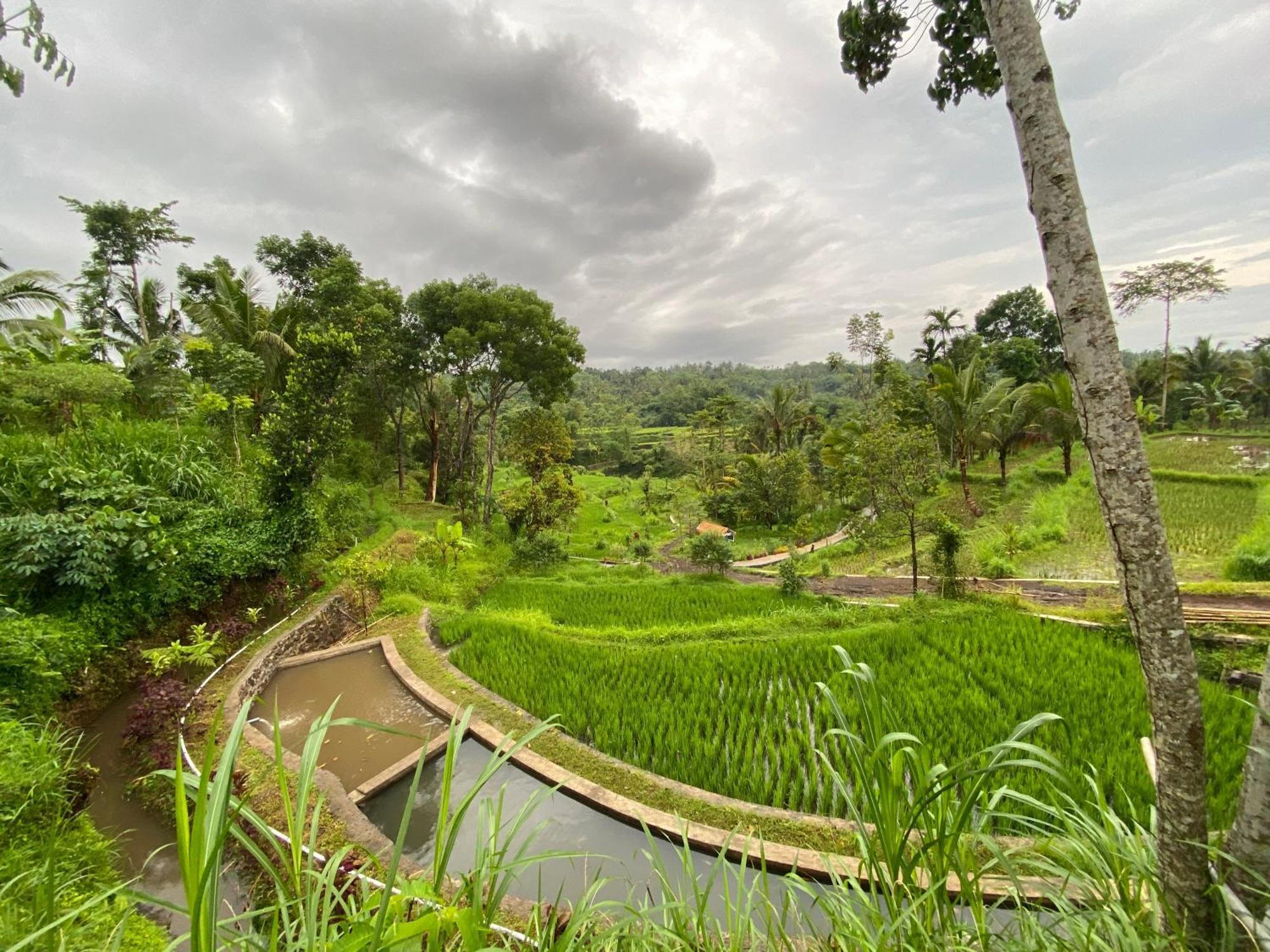 The Alam Tetebatu Bungalow & Restaurant Bagian luar foto