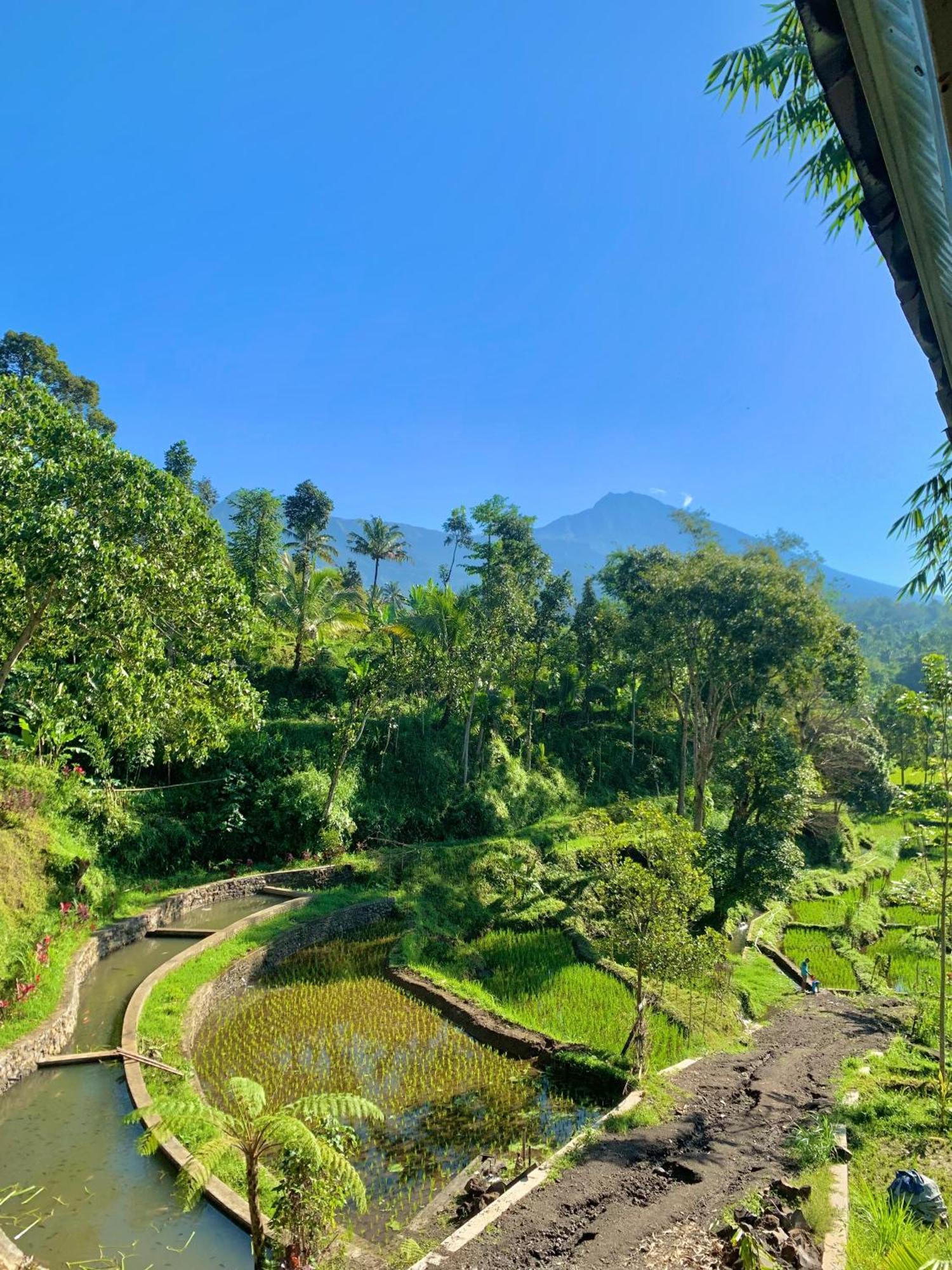 The Alam Tetebatu Bungalow & Restaurant Bagian luar foto