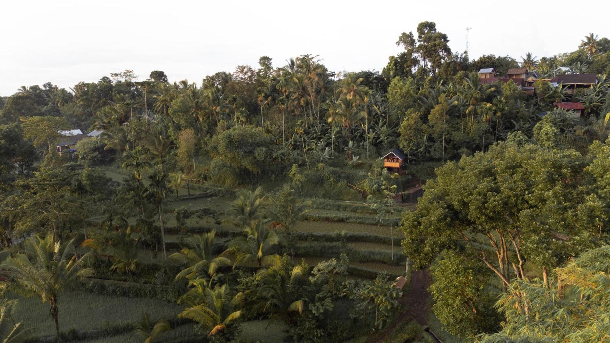 The Alam Tetebatu Bungalow & Restaurant Bagian luar foto
