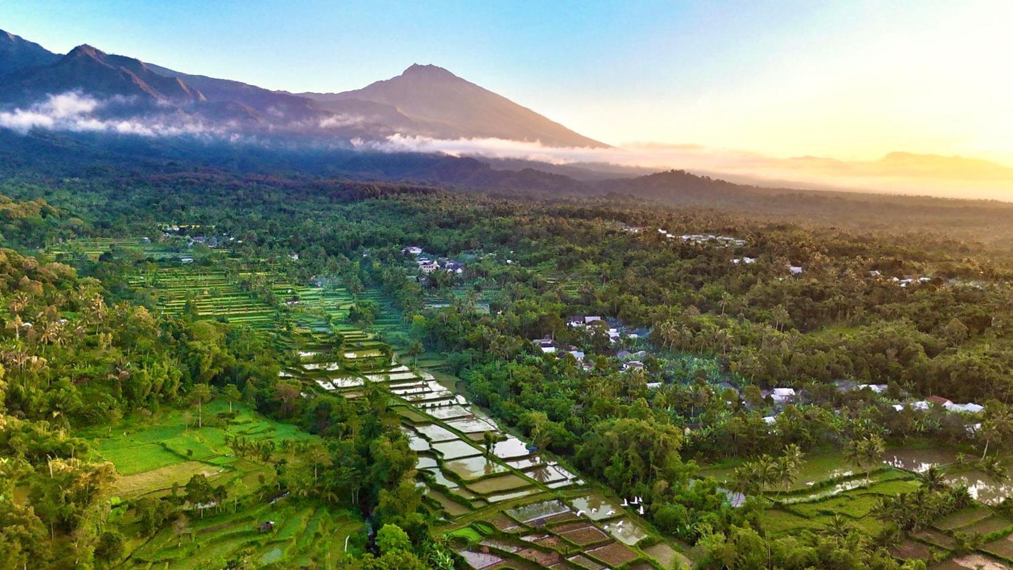 The Alam Tetebatu Bungalow & Restaurant Bagian luar foto