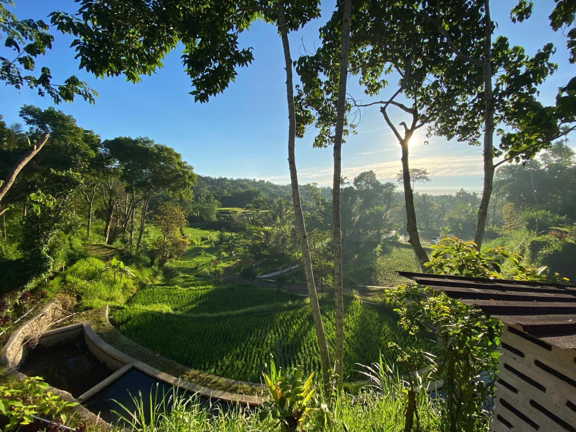 The Alam Tetebatu Bungalow & Restaurant Bagian luar foto