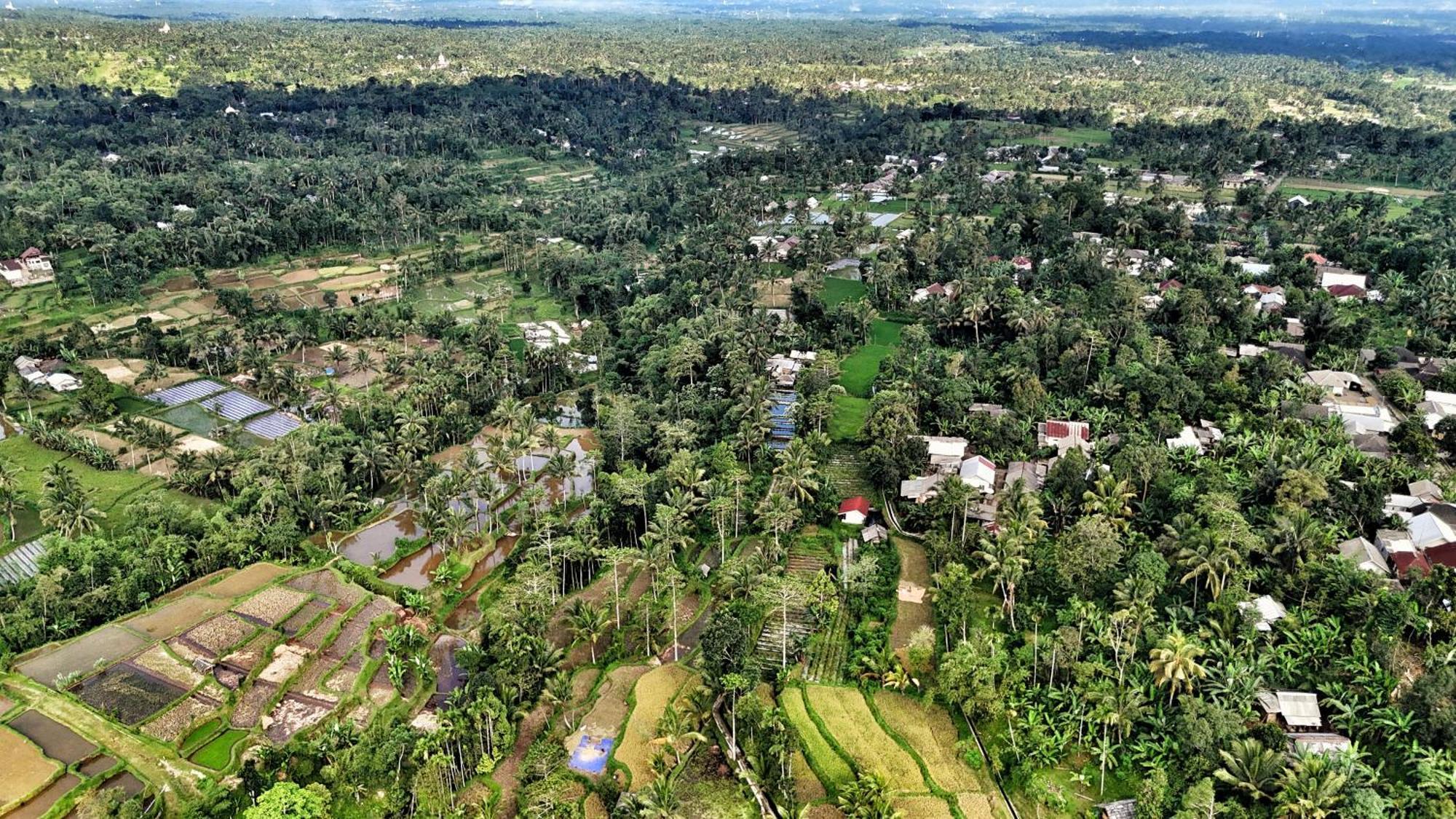 The Alam Tetebatu Bungalow & Restaurant Bagian luar foto