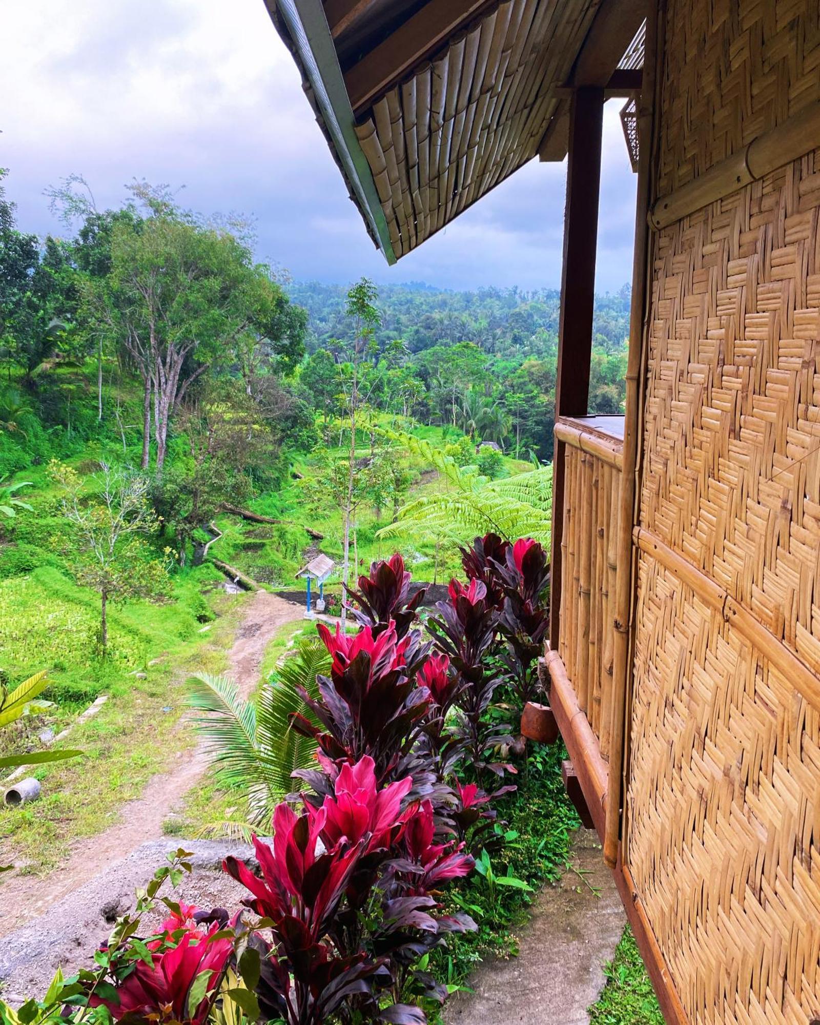 The Alam Tetebatu Bungalow & Restaurant Bagian luar foto