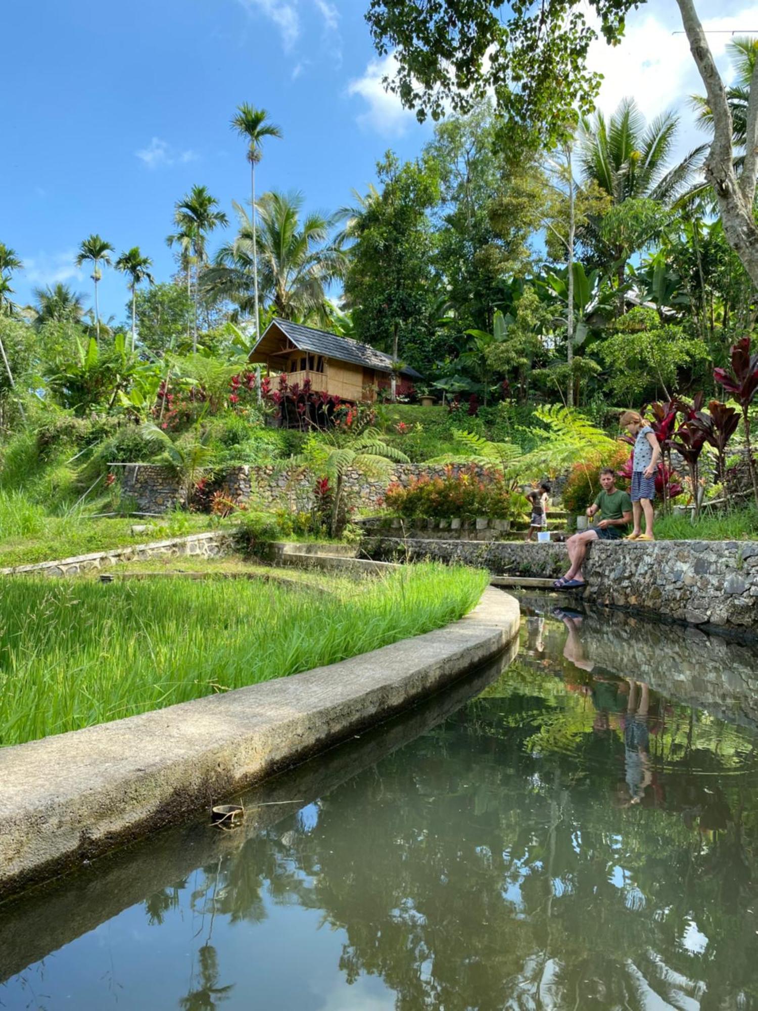 The Alam Tetebatu Bungalow & Restaurant Bagian luar foto